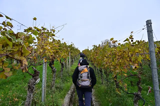 Jetzt geht es bergauf. | Foto: Michael Harmsen