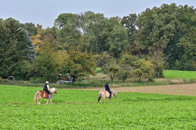 Das Glück der Erde liegt auf dem Rücken der Pferde. Das trifft für diese beiden Reiterinen bestimmt zu. | Foto: Michael Harmsen