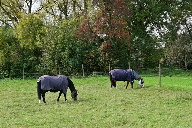 Gut verpackt. | Foto: Michael Harmsen