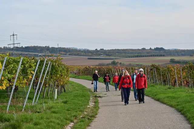 Bald ist der Parkplatz erreicht. | Foto: Michael Harmsen