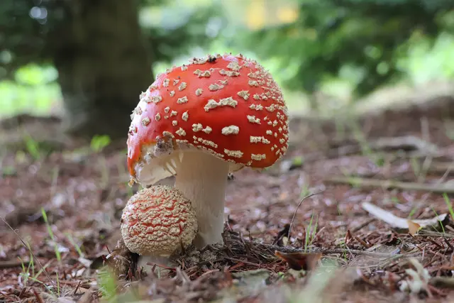 Komm her mein Kleines ;-) | Foto: UD