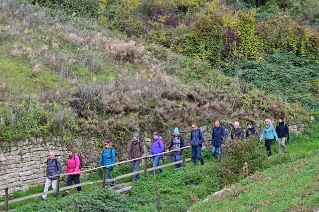 Jörg Heine führt die Wandergruppe durch die Weinberge. | Foto: Michael Harmsen