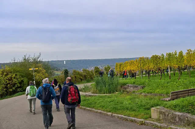 Vom Parkplatz ging es Richtung Mundelsheim und Neckarschleife. | Foto: Michael Harmsen