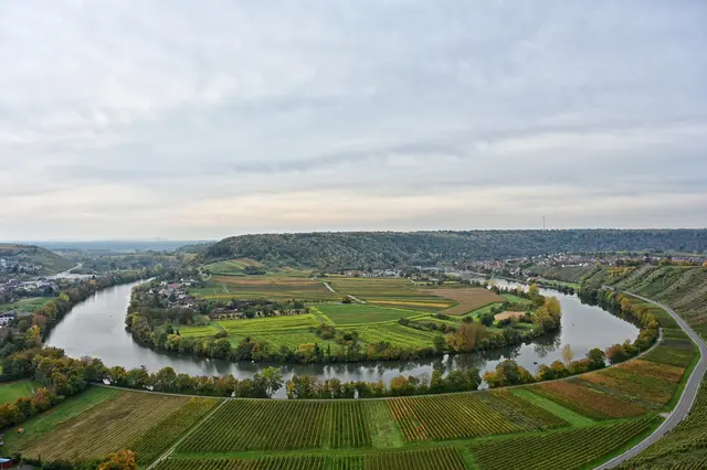 Herrlich der Blick auf die Neckarschleife. | Foto: Michael Harmsen