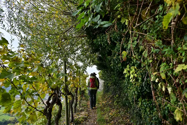 Im Tunnel. | Foto: Michael Harmsen