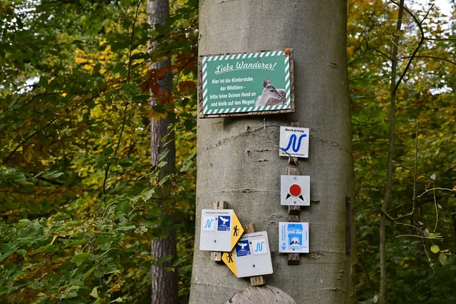 Schilderwald im Blätterwald. | Foto: Michael Harmsen