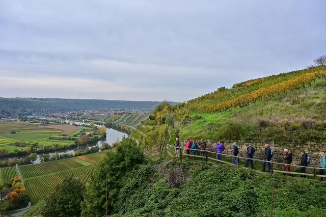 Auf Traumpfaden über dem Neckartal. | Foto: Michael Harmsen