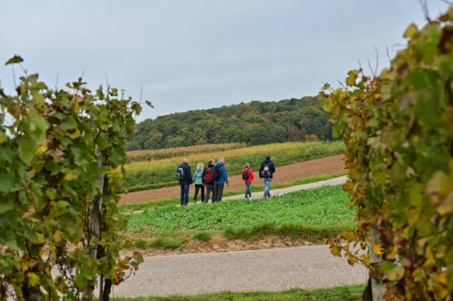 Foto: Michael Harmsen