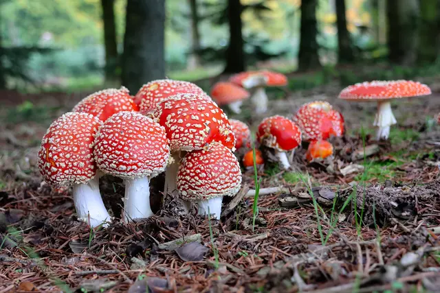 Tuschel-tuschel oder kuschel-kuschel ;-)? | Foto: UD