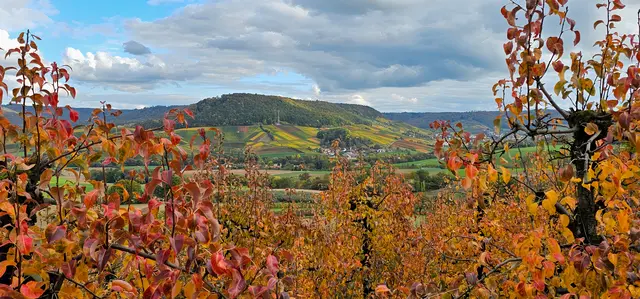 Blick von Griet ins Steinbacher Tal | Foto: Heinrich Brehm