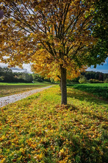 Foto: Eigenes Foto von GT