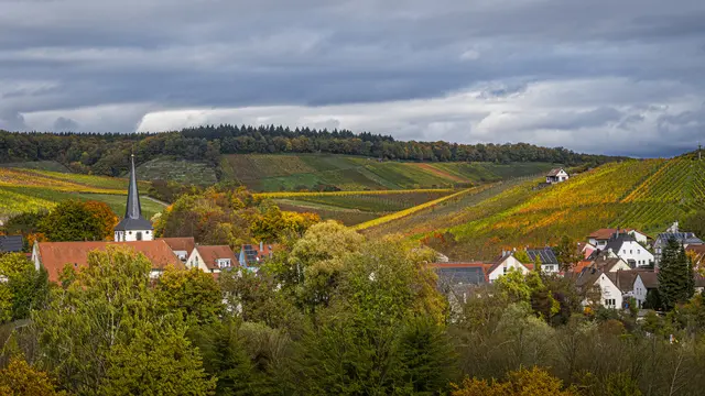 Stockheim, im Hintergrund der Zweifelberg | Foto: ehw