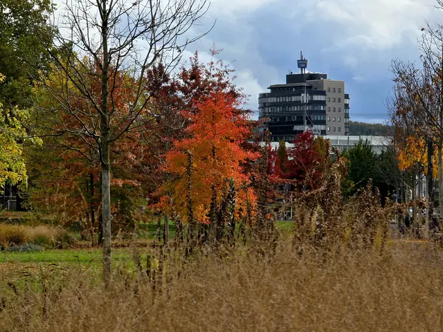 Blick zum Neckarturm. | Foto: Heidrun Rosenberger