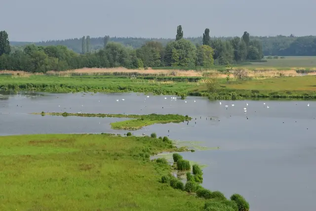 Foto: NABU Hambrücken
