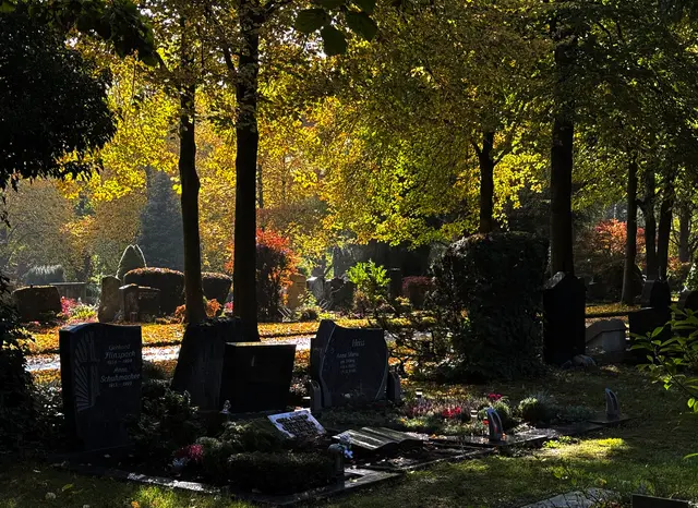 Hauptfriedhof  Heilbronn | Foto: Moni Bordt