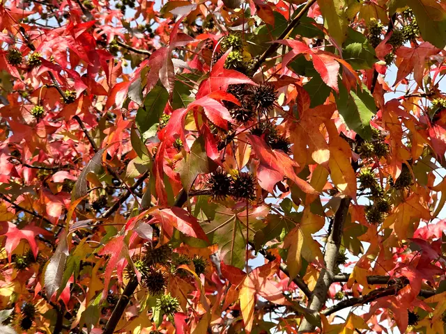 Foto: Heidrun Rosenberger