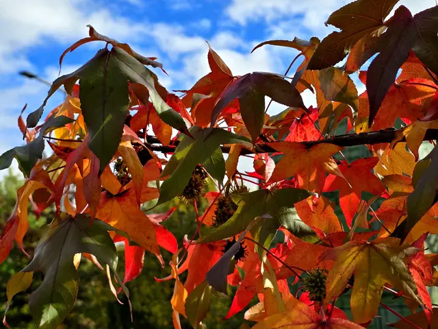 Foto: Heidrun Rosenberger