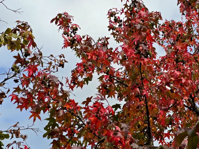 Foto: Heidrun Rosenberger