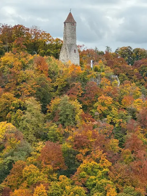 Blick über den prächtigen Laubwald zum Ödenturm, der zusammen mit der Burgruine am Albtrauf über Geislingen aufragt. | Foto: Foto privat