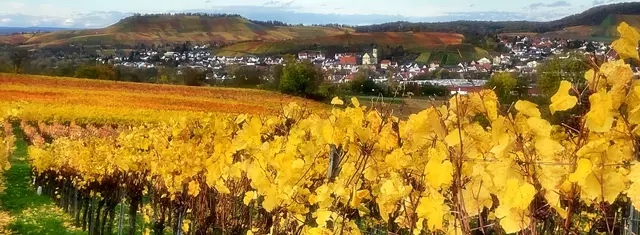 Blick nach Erlenbach / Binswangen | Foto: Moni Bordt