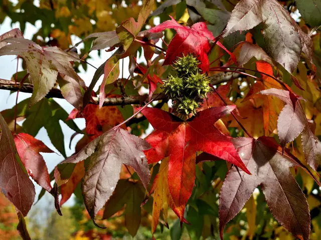 Foto: Heidrun Rosenberger