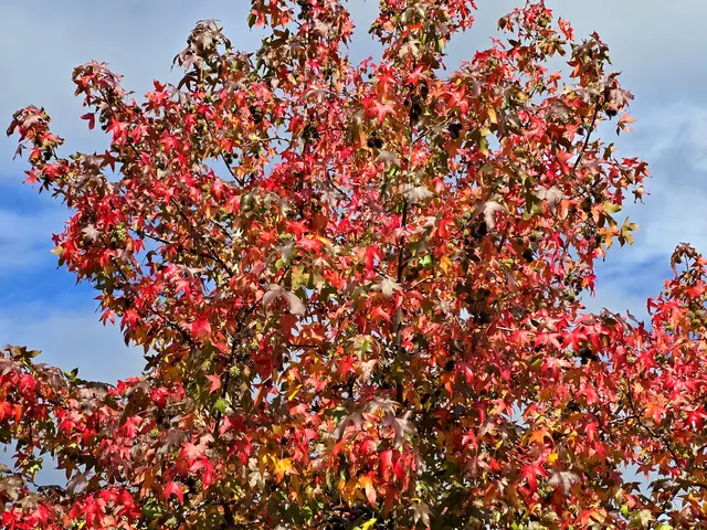 Foto: Heidrun Rosenberger