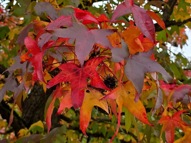 Foto: Heidrun Rosenberger