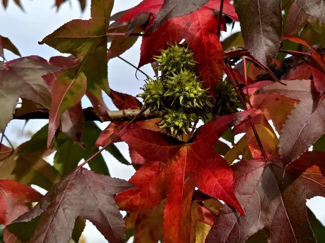 Foto: Heidrun Rosenberger