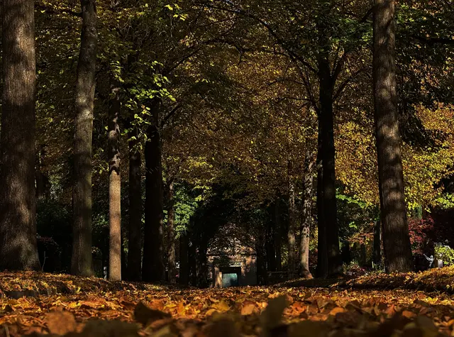 Hauptfriedhof Heilbronn | Foto: Moni Bordt