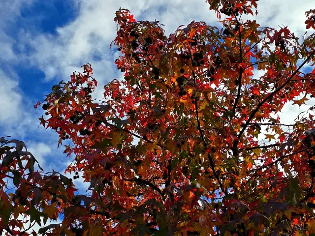 Foto: Heidrun Rosenberger