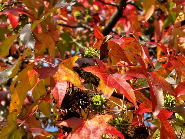 Foto: Heidrun Rosenberger