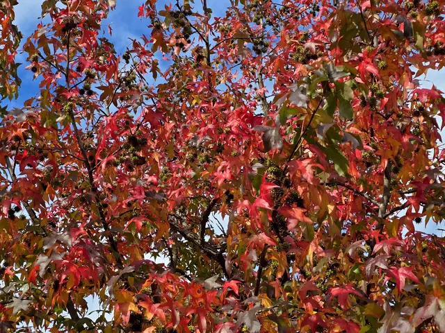 Foto: Heidrun Rosenberger