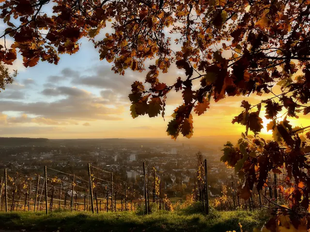 Sonnenuntergang auf dem Wartberg | Foto: Moni Bordt