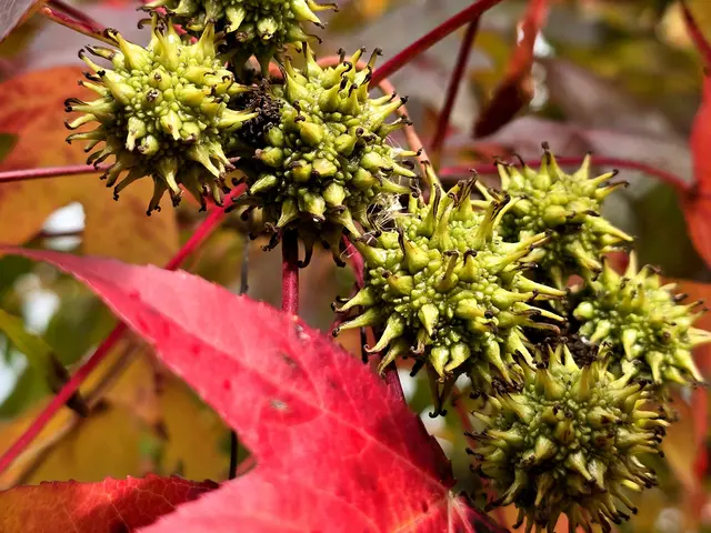 Foto: Heidrun Rosenberger