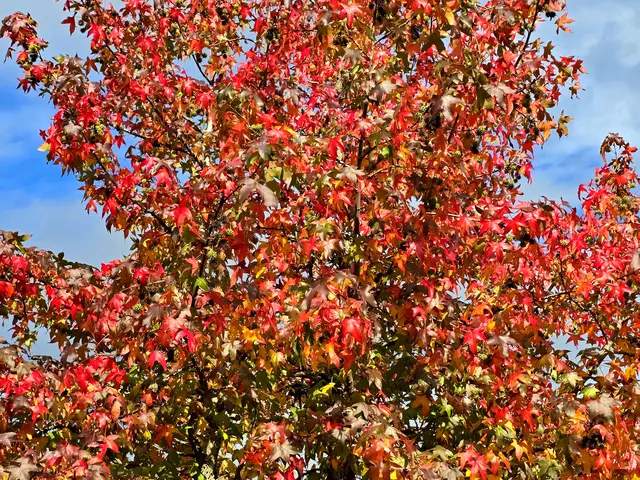 Foto: Heidrun Rosenberger