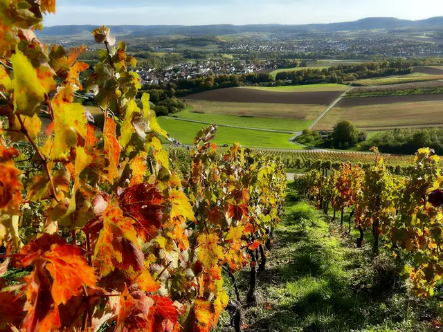 Wildenberg Grantschen | Foto: Moni Bordt