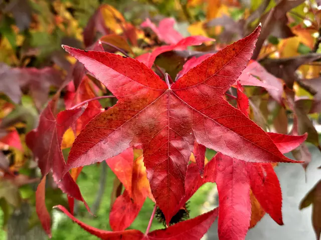 Foto: Heidrun Rosenberger