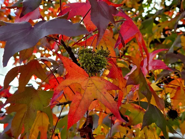 Foto: Heidrun Rosenberger