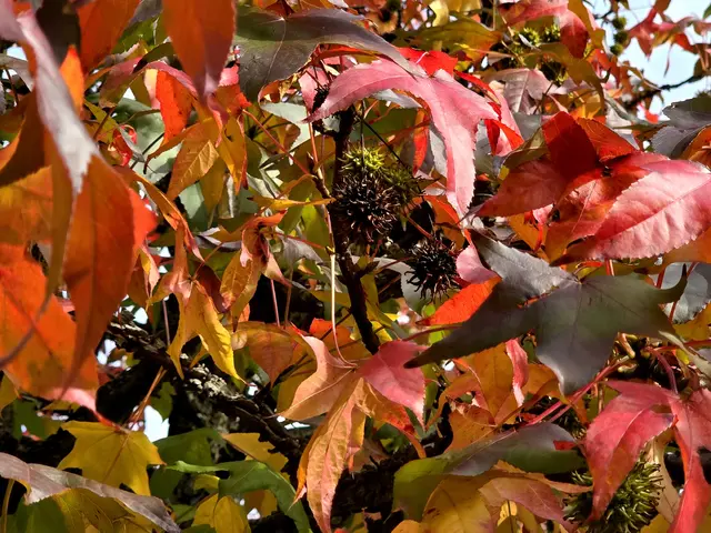 Foto: Heidrun Rosenberger