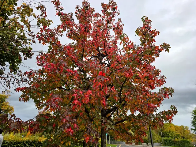 Foto: Heidrun Rosenberger