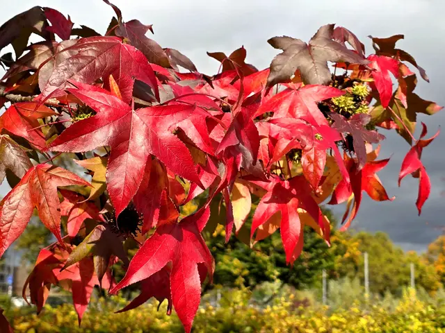 Foto: Heidrun Rosenberger