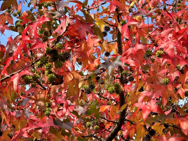 Foto: Heidrun Rosenberger