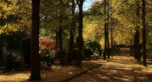 Hauptfriedhof Heilbronn | Foto: Moni Bordt