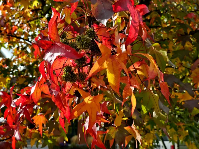 Foto: Heidrun Rosenberger