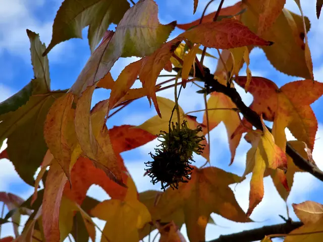 Foto: Heidrun Rosenberger