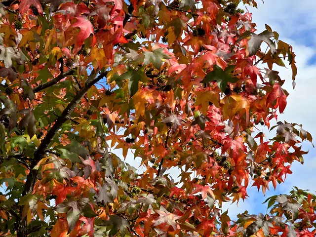 Foto: Heidrun Rosenberger