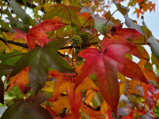 Foto: Heidrun Rosenberger