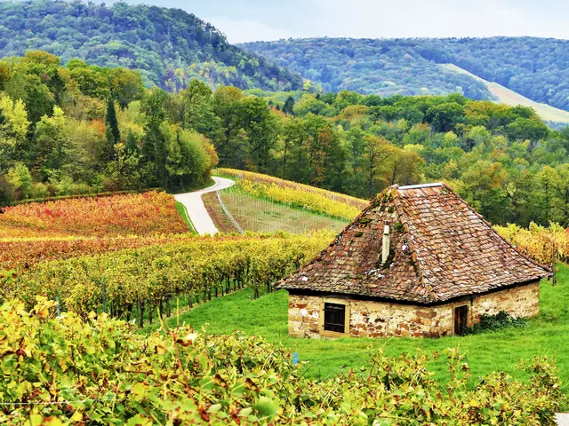 am Scheuerberg in Neckarsulm | Foto: KHW