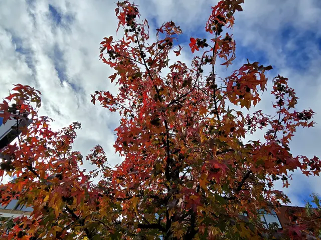 Foto: Heidrun Rosenberger