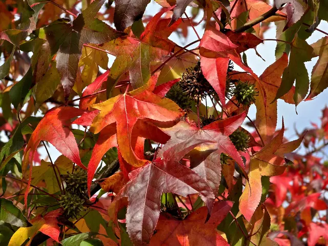 Foto: Heidrun Rosenberger